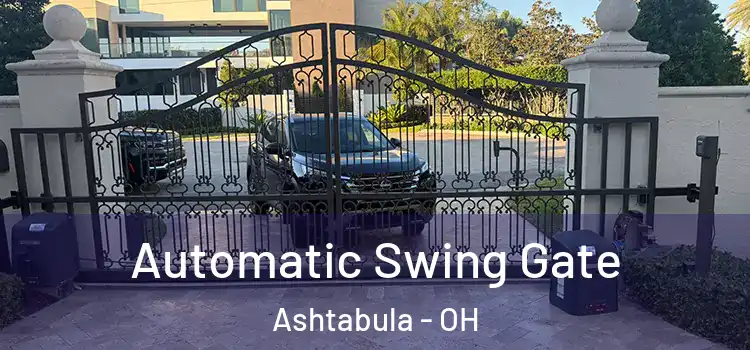  Automatic Swing Gate Ashtabula - OH