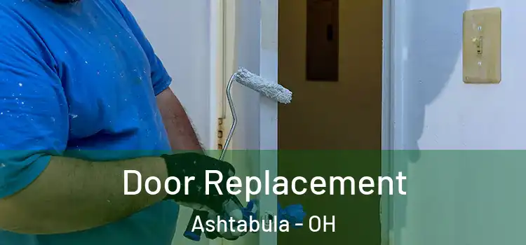  Door Replacement Ashtabula - OH