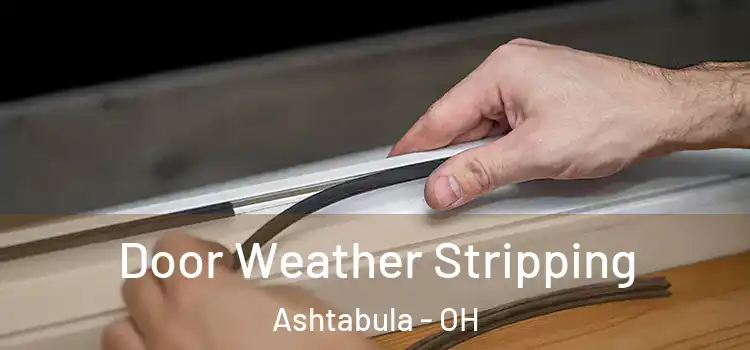 Door Weather Stripping Ashtabula - OH