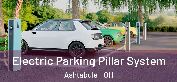  Electric Parking Pillar System Ashtabula - OH
