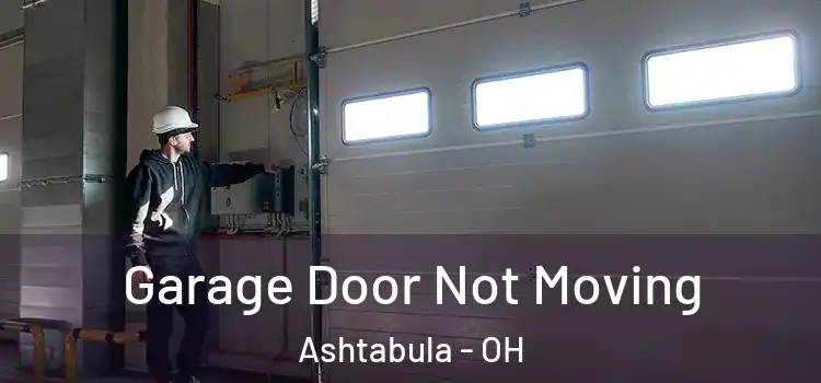  Garage Door Not Moving Ashtabula - OH