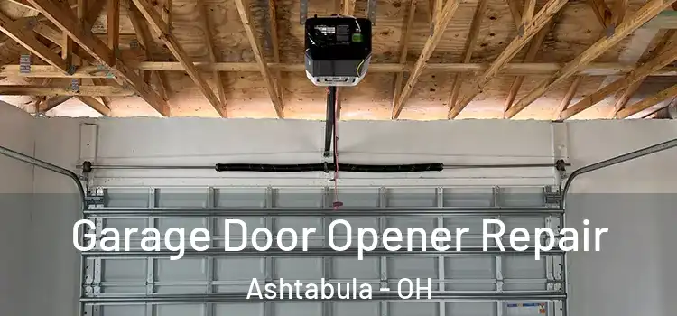  Garage Door Opener Repair Ashtabula - OH