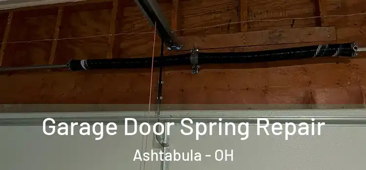 Garage Door Spring Repair Ashtabula - OH