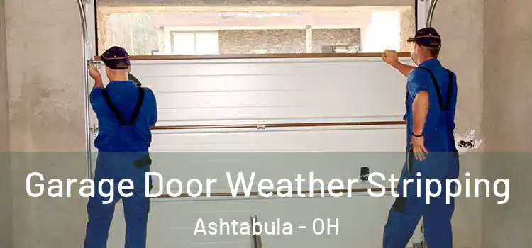  Garage Door Weather Stripping Ashtabula - OH