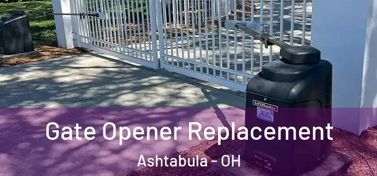 Gate Opener Replacement Ashtabula - OH