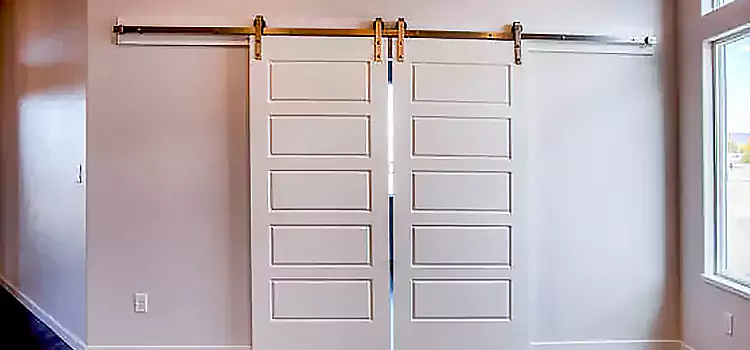 Glass Barn Door with Installation Hardware Kit Ashtabula
