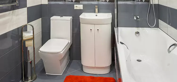 Hansgrohe Shaving Mirror Ashtabula