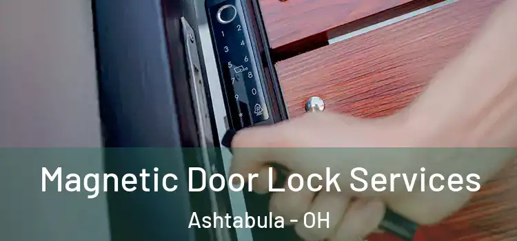 Magnetic Door Lock Services Ashtabula - OH