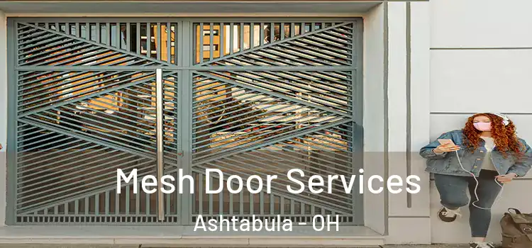 Mesh Door Services Ashtabula - OH