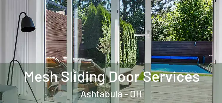Mesh Sliding Door Services Ashtabula - OH