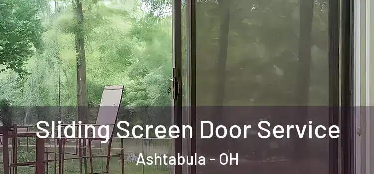 Sliding Screen Door Service Ashtabula - OH